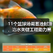 11个篮球场调蓄池封顶，治水关键工程助力黑臭水体治理（图2）