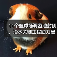 11个篮球场调蓄池封顶，治水关键工程助力黑臭水体治理（图4）