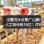 汉西污水处理厂三期EPC工程中标10亿!评标结果出炉(图2) 汉西污水处理厂三期EPC工程中标10亿!评标结果出炉(图2)