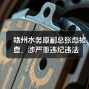 赣州水务原副总张彪被查,涉严重违纪违法(图1) 赣州水务原副总张彪被查,涉严重违纪违法(图1)