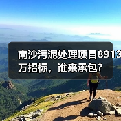 南沙污泥处理项目8913万招标，谁来承包？（图1）