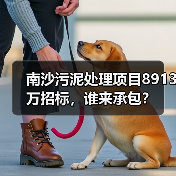 南沙污泥处理项目8913万招标，谁来承包？（图3）