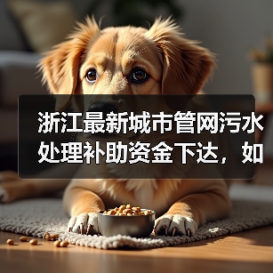 浙江最新城市管网污水处理补助资金下达,如何助力城市升级?(图2) 浙江最新城市管网污水处理补助资金下达,如何助力城市升级?(图2)