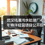 武汉陆港污水处理厂40年特许经营项目公开招标（图2）