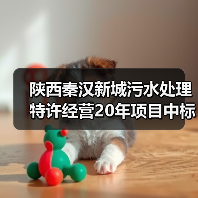 陕西秦汉新城污水处理特许经营20年项目中标，金额2.88元/吨（图1）