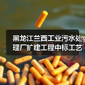 黑龙江兰西工业污水处理厂扩建工程中标工艺仪表设备安装启动(图2) 黑龙江兰西工业污水处理厂扩建工程中标工艺仪表设备安装启动(图2)
