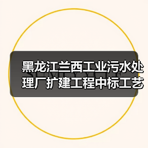 黑龙江兰西工业污水处理厂扩建工程中标工艺仪表设备安装启动(图4) 黑龙江兰西工业污水处理厂扩建工程中标工艺仪表设备安装启动(图4)