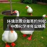 环境治理业务签约90亿!中国化学半年业绩亮点解析(图1) 环境治理业务签约90亿!中国化学半年业绩亮点解析(图1)