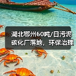 湖北鄂州60吨/日污泥碳化厂落地,环保治理如何升级?(图2) 湖北鄂州60吨/日污泥碳化厂落地,环保治理如何升级?(图2)