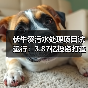 伏牛溪污水处理项目试运行:3.87亿投资打造绿色生态屏障(图4) 伏牛溪污水处理项目试运行:3.87亿投资打造绿色生态屏障(图4)