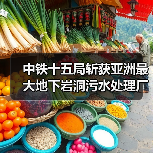 中铁十五局斩获亚洲最大地下岩洞污水处理厂构件预制项目（图2）