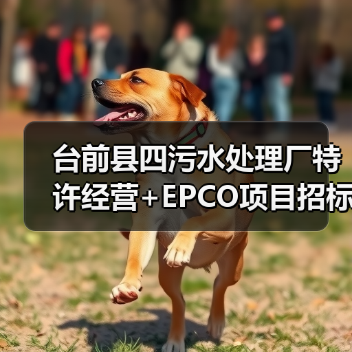台前县四污水处理厂特许经营+EPCO项目招标启动 投资超2.8亿元(图3) 台前县四污水处理厂特许经营+EPCO项目招标启动 投资超2.8亿元(图3)