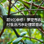 超5亿中标！罗定市农村生活污水处理项目进展如何？（图3）