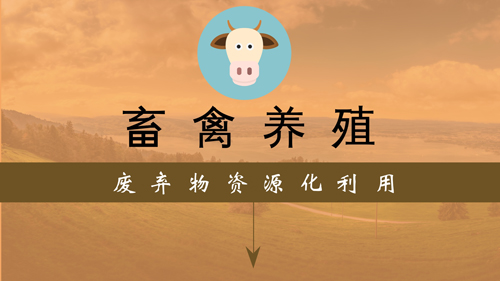 河南省人民政府办公厅关于加快推进畜禽养殖废弃物资源化利用的实施意见